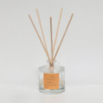 Αρωματικό Χώρου ‘mango time.’